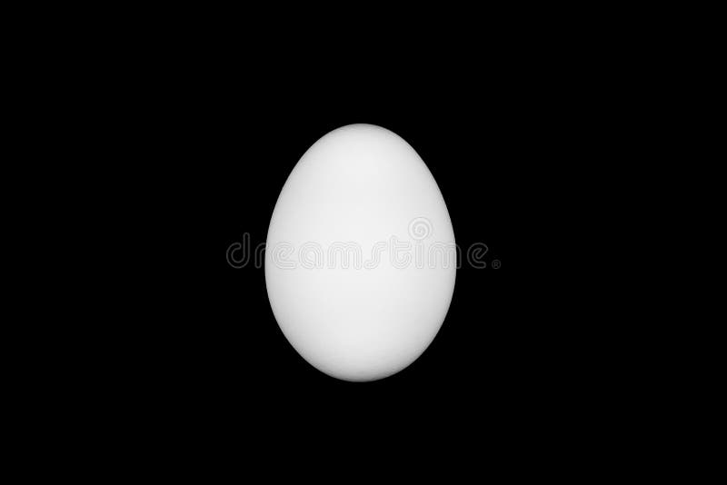 White Egg on a Black Background Stock Image Image of shell, detail