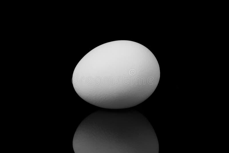 White Egg on Black Background Stock Photo Image of drink, object