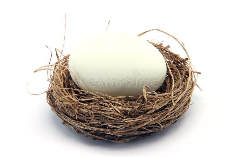 White egg on nest stock photo White egg on nest stock photo