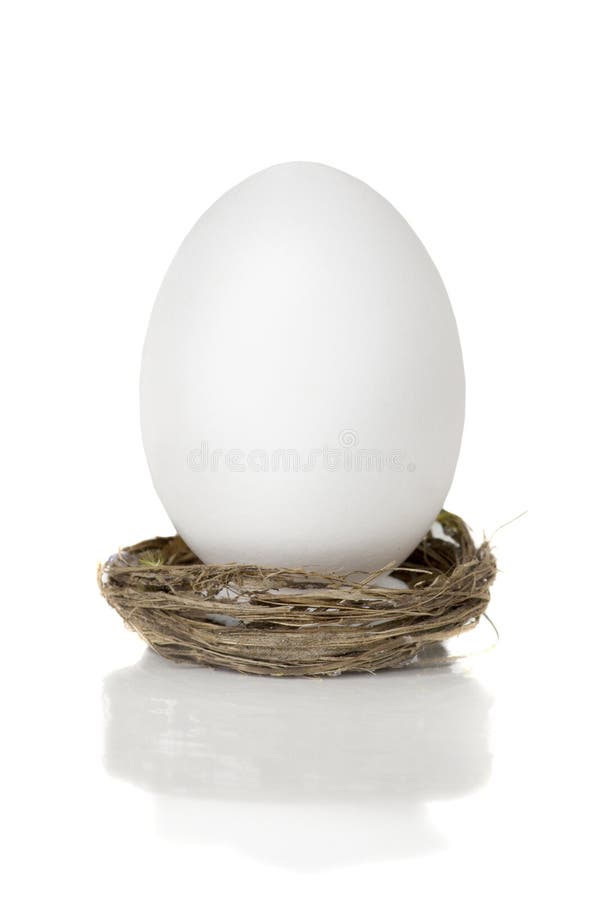 White egg in the nest stock photo White egg in the nest stock photo