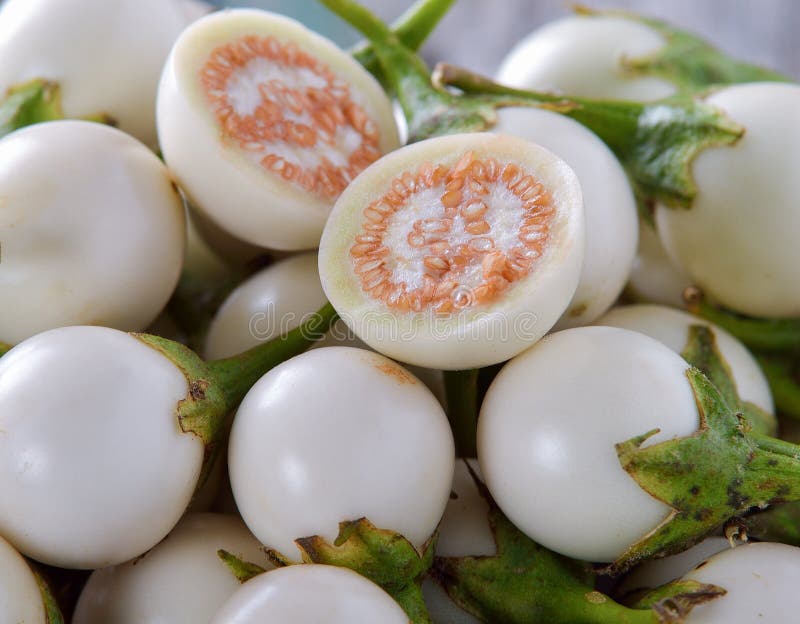 White Eggplant or White Aubergine Stock Photo Image of natural