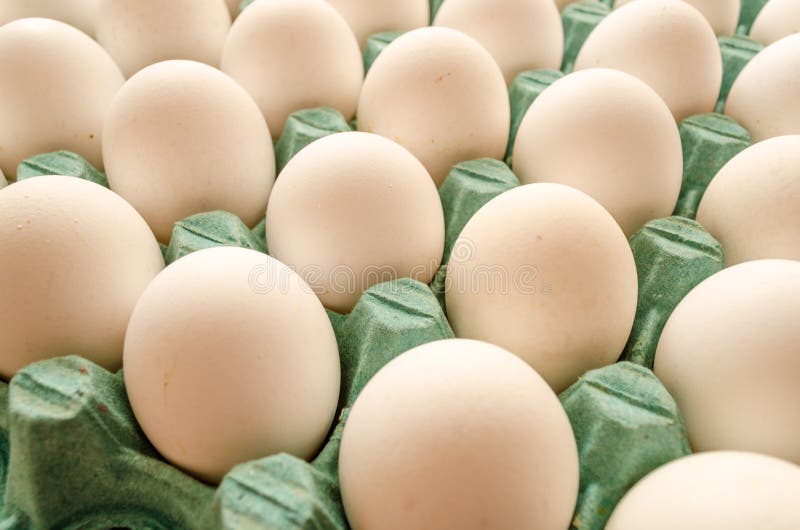 White Eggs Arranged Together in a Green Egg Carton Stock Photo Image