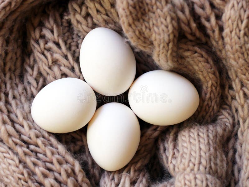 White Eggs, Natural Food so Close Stock Photo Image of protein