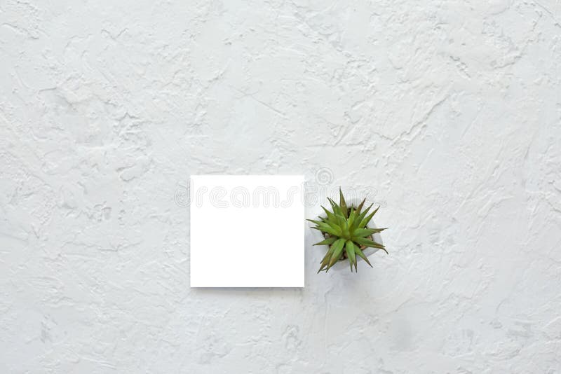 Download 4 497 Cement Mockup Photos Free Royalty Free Stock Photos From Dreamstime