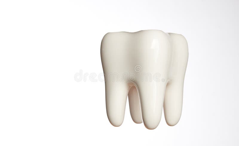 White enamel tooth model isolated on white background with copy space, close-up. Dental health, oral care, teeth restoration and 3d teeth whitening concept