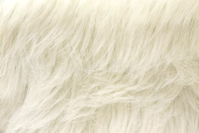 Close Up At White Fur Fabric Texture Background. Stock Photo, Picture and  Royalty Free Image. Image 53471368.