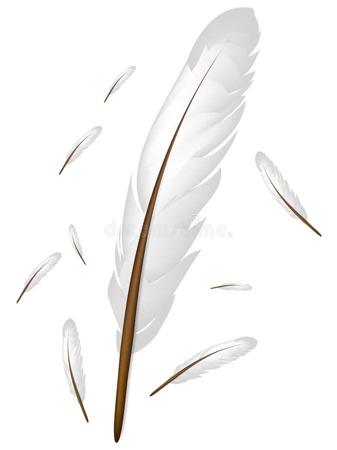 White feather
