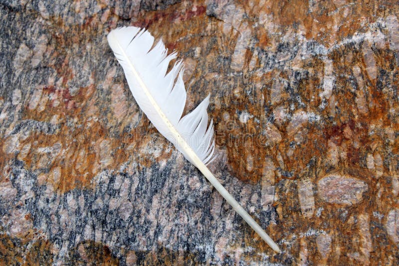 White Feather on Granite Rock royalty free stock photos
