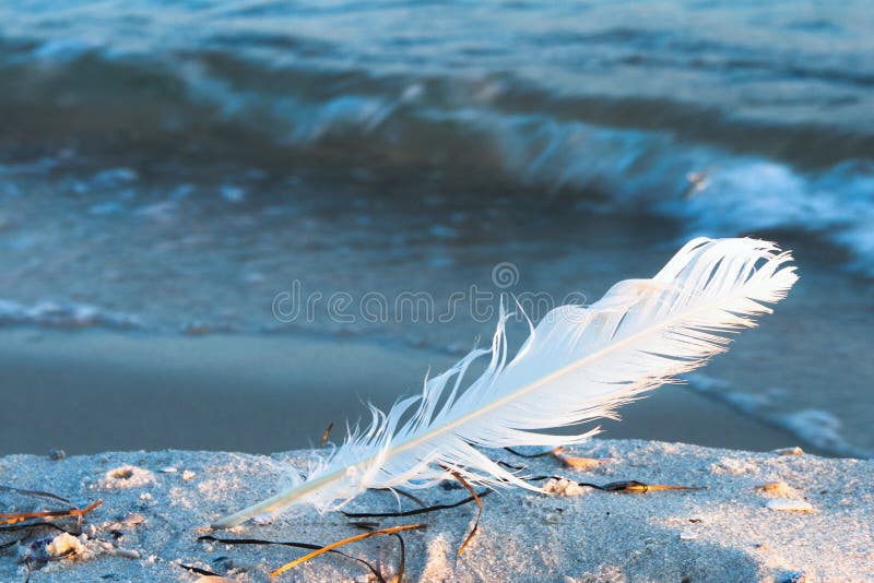 Poem Images Browse 23434 Stock Photos Vectors and Video Adobe Stock