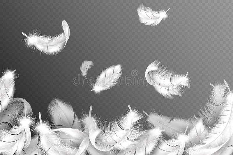 White feathers background. Falling flying fluffy swan, dove or angel wings feather, soft bird plumage. Style flyer