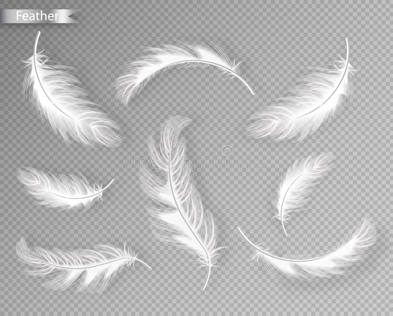 White feathers set collection Vector realistic. Different falling twirled feathers isolated on transparent background stock illustration White feathers set collection Vector realistic. Different falling twirled feathers isolated on transparent background stock illustration