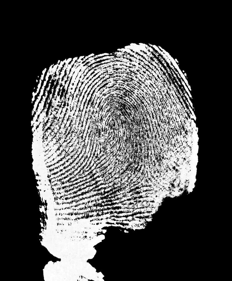 White fingerprint on black background, top view. Fingerprint macro stock images, royalty-free photos and pictures