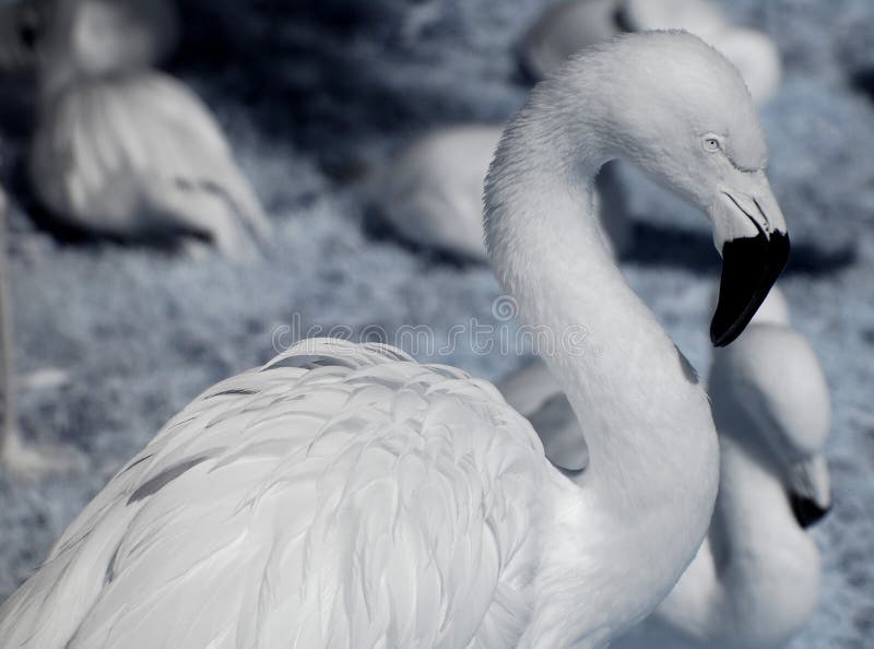 See the source image