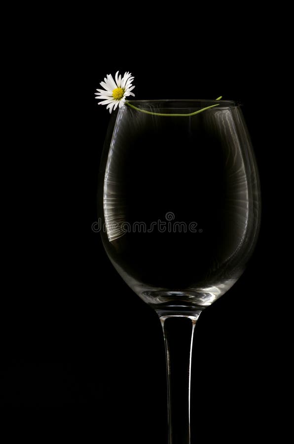 A small white flower over an empty wine glass isolated on a black background. with copy text space. A small white flower over an empty wine glass isolated on a black background. with copy text space.