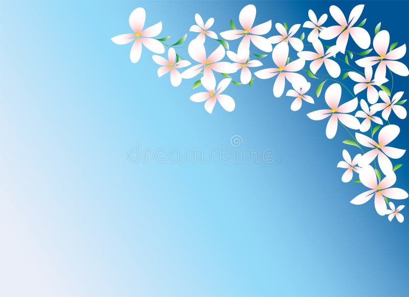 White Flowers on Blue Background Stock Vector Illustration of graphic