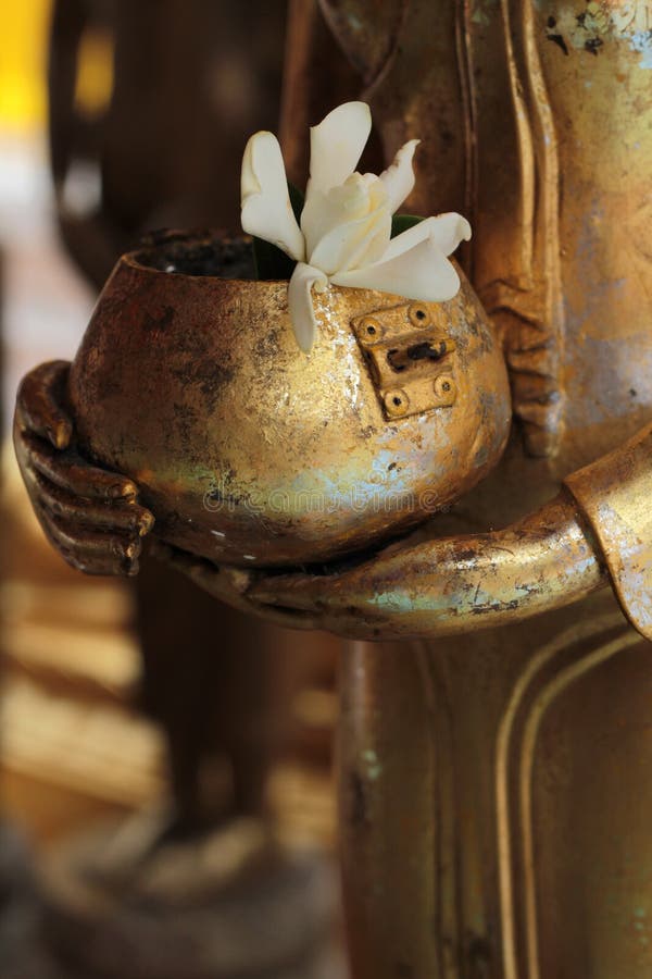 White flowers and Buddha