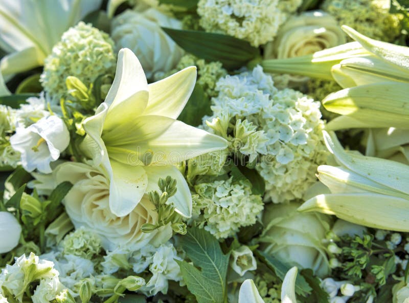 White funeral flowers stock image. Image of card, flowers 91973391