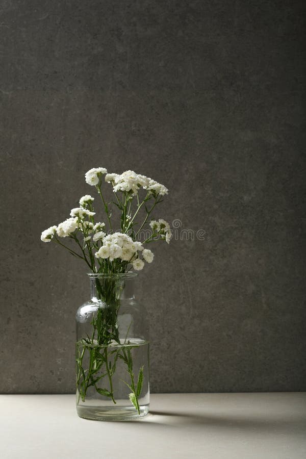 White Flowers in Glass Vase Stock Image Image of baby, bridal 85034239