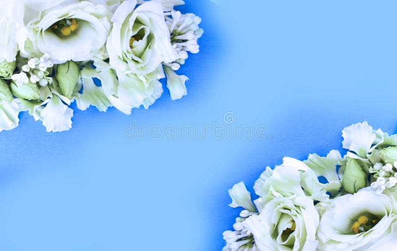 White Flowers on a Light Blue Background. Wedding Bouquet Stock Photo -  Image of marriage, arrangement: 211495084