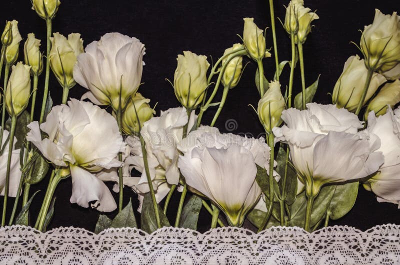 White flowers of Lisianthus with white openwork embroidered border on black plywood stock photos White flowers of Lisianthus with white openwork embroidered border on black plywood stock photos