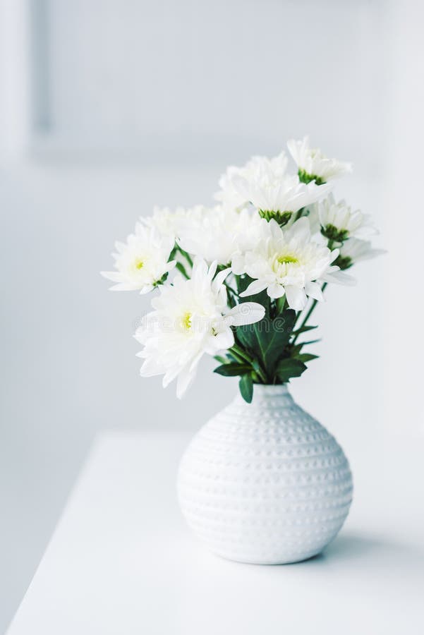 White Flowers in Modern Vase Stock Photo Image of flora, daisies