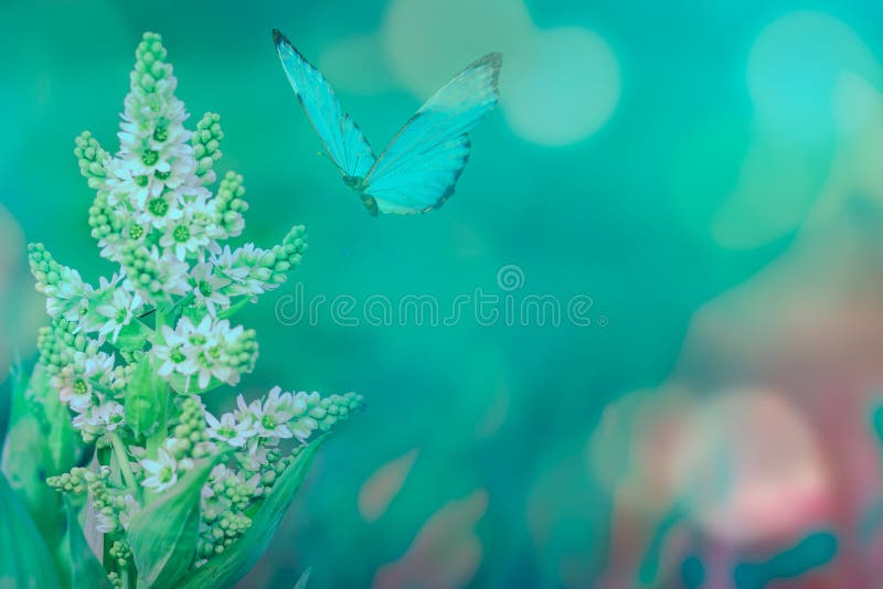 Free Vectors: Spring Green Floral Background with Butterfly