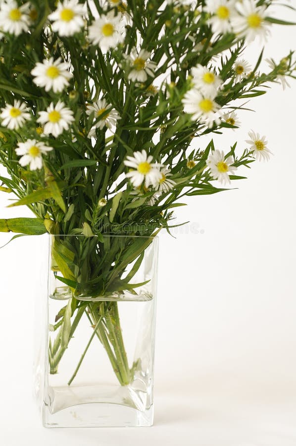 White flowers in a vase stock image. Image of nature, bouquet 594815