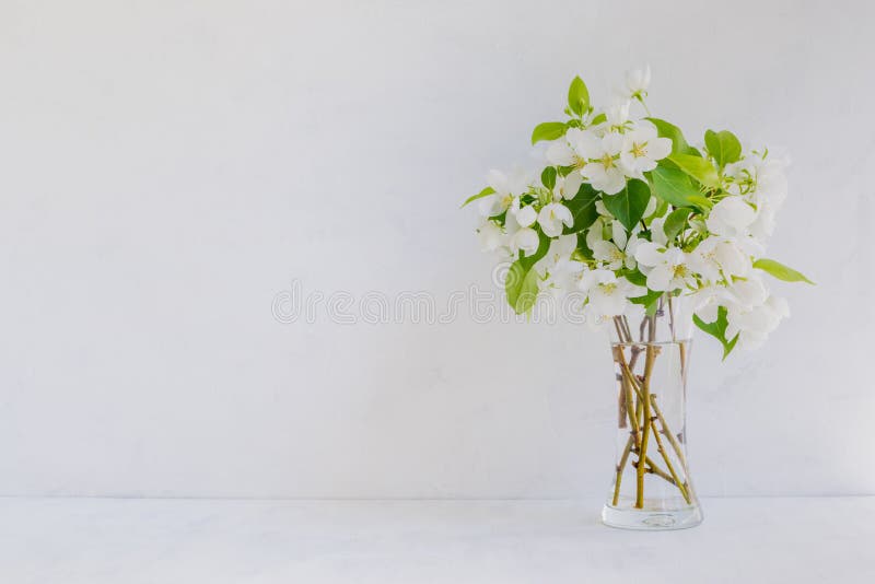 193,634 Flowers Vase Stock Photos - Free & Royalty-Free Stock Photos from Dreamstime 193,634 Flowers Vase Stock Photos - Free & Royalty-Free Stock Photos from Dreamstime