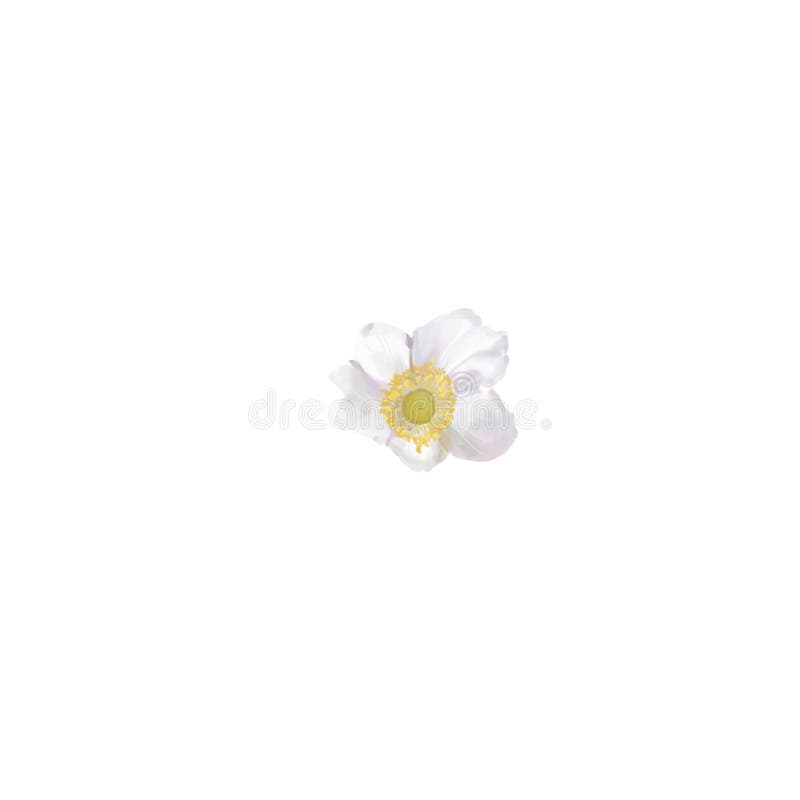My Image 26