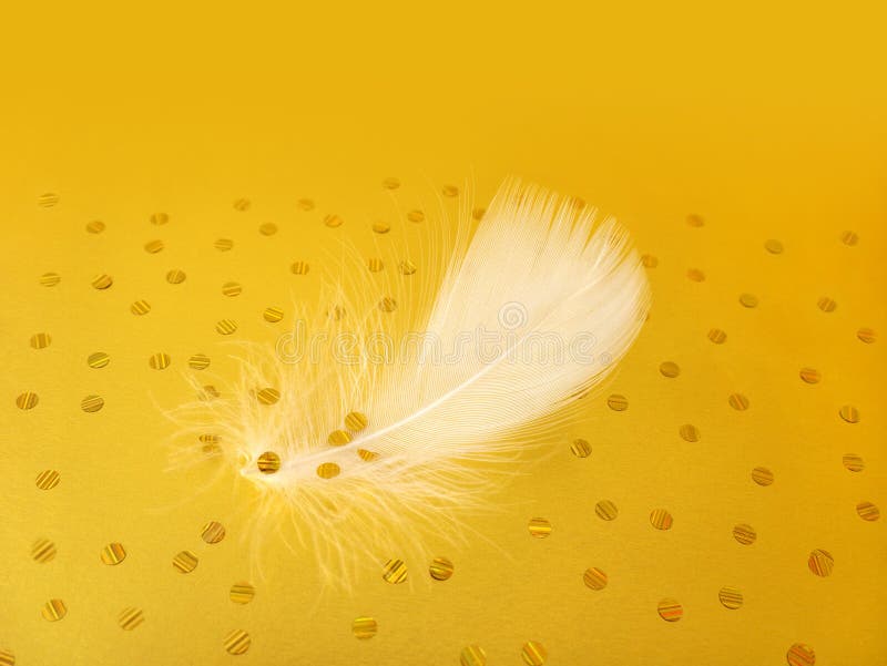 Beautiful Golden Yellow Bird Feathers Pattern Texture Background