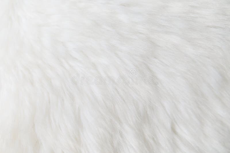 96,037 White Fluffy Texture Photos Free & RoyaltyFree Stock Photos