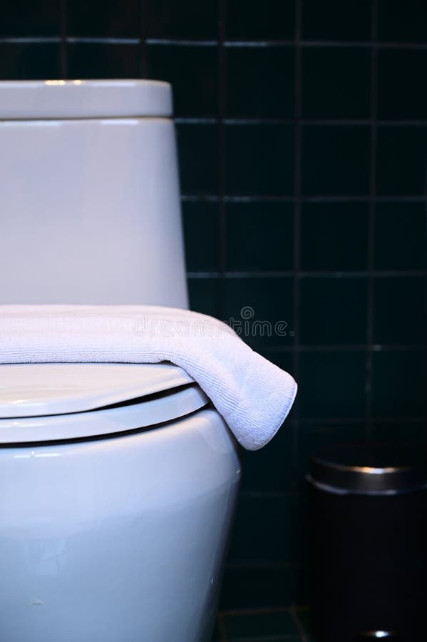 White Flush Toilet on Dark Green Wall, Interior Design Stock Image