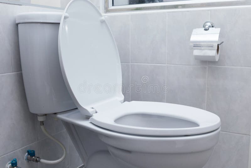 White Flush Toilet in Modern Bathroom Interior Stock Image Image of open, room 46822971
