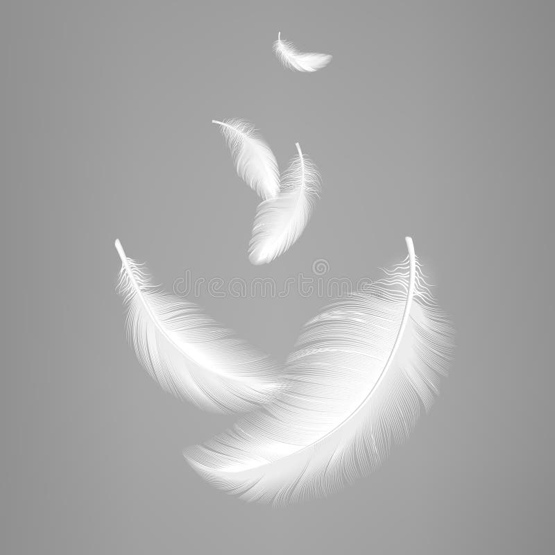 White Feathers. Fluffy Twirled Feather Isolated on Transparent