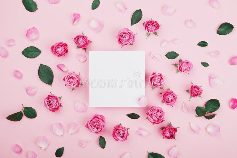 White frame blank, pink rose flowers and petals for spa or wedding mockup on pastel background top view. Beautiful floral pattern.