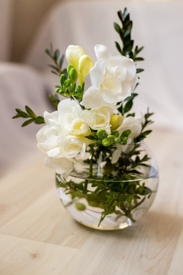 White freesia flowers stock image. Image of love, beauty 162281923
