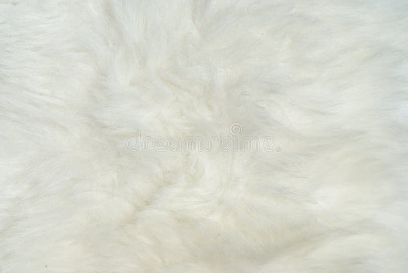 Brown Rabbit Fur Texture, Animal Skin Background Stock Image - Image of  decoration, natural: 150347489