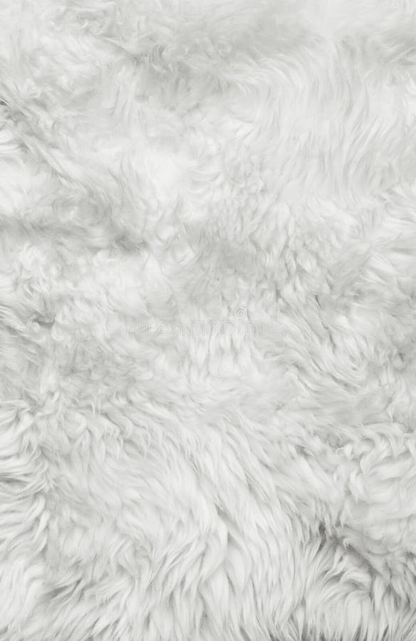 White fur Background  Fur background, White wallpaper for iphone