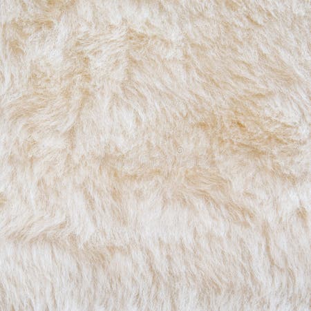 30,459 White Fur Texture Stock Photos - Free & Royalty-Free Stock ...