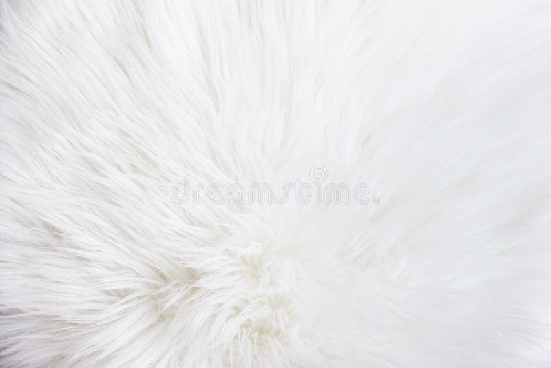 White fur texture stock image. Image of animal, decorative - 112286961