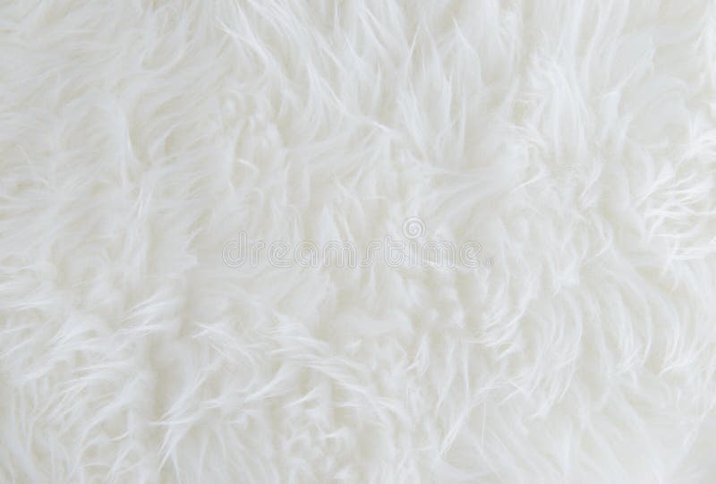 White Faux Fur Seamless Background Texture Pattern Background Or Wallpaper  Image, Myspace & Twitter Backgrounds, Wall…