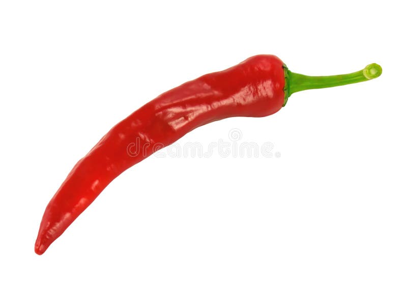 White för varm peppar för chili röd royaltyfri fotografi