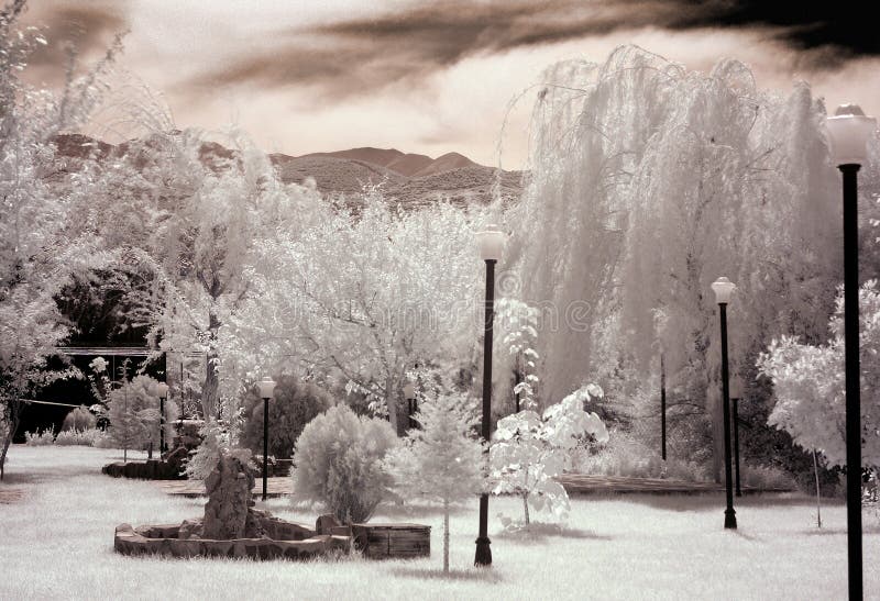 White Garden stock image. Image of infrared, grassland - 697715