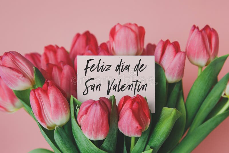 White gift card with the inscription happy Valentine`s Day in spanish in a bouquet of beautiful tulips, the concept of. White gift card with the inscription royalty free stock images