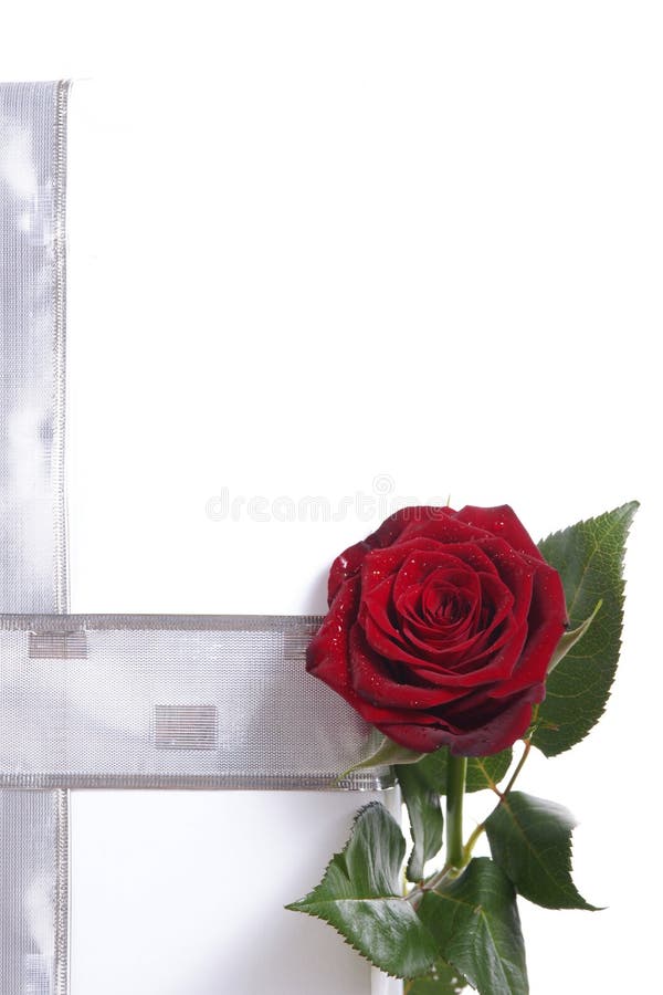 White gift with rose