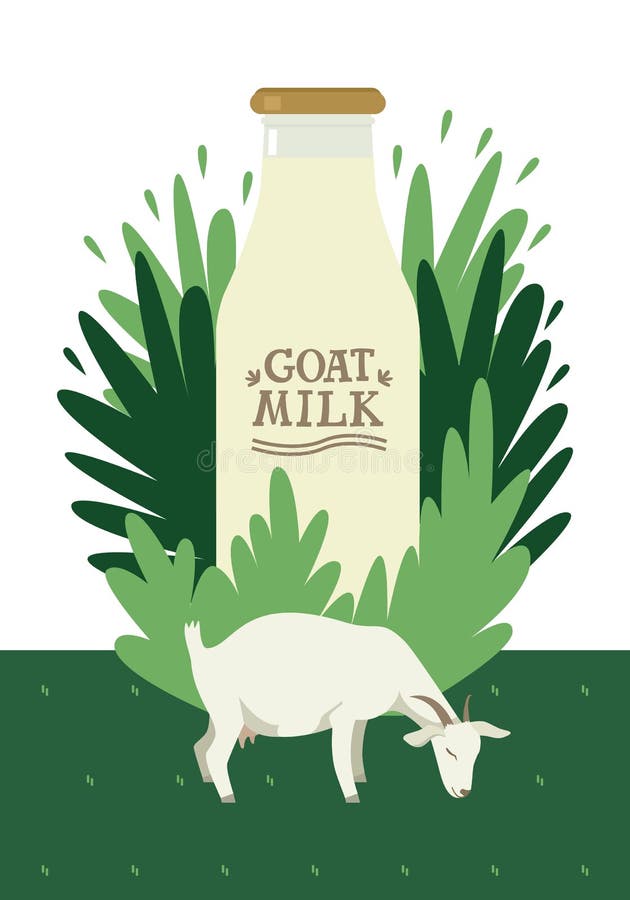 White goat grazing on a green meadow Fresh goat milk in a glass bottle on floral background Flat vector illustration Countryside