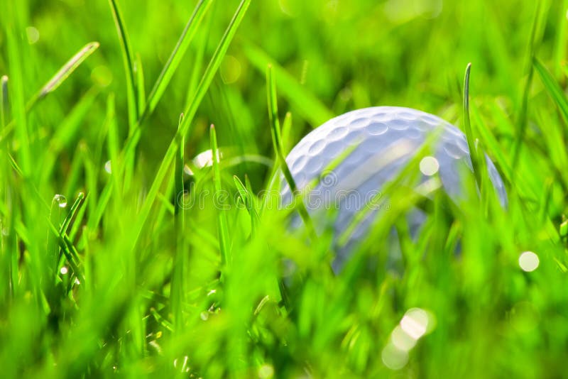 White golf ball on grass