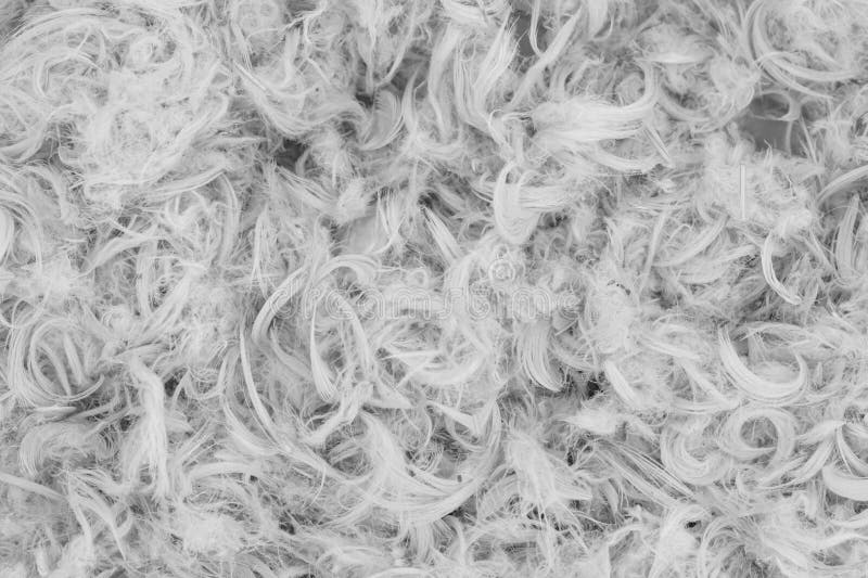 White Goose Feathers and Fluff from Pillows Texture Stock Photo Image