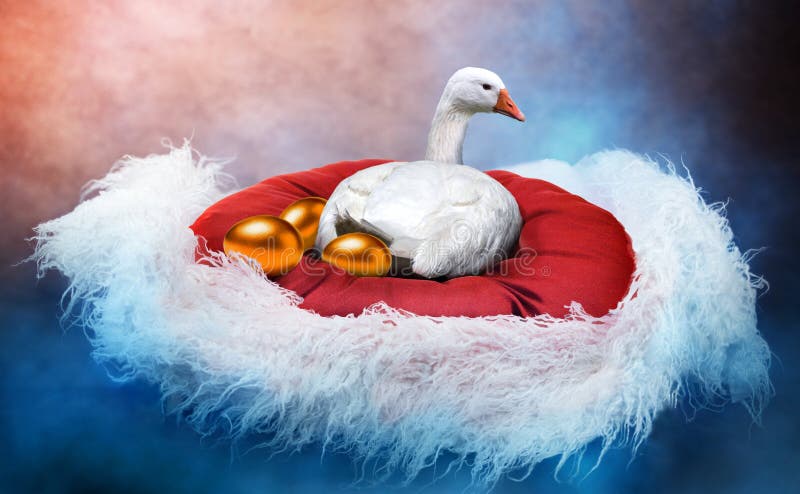 White goose laying golden eggs in a fancy nest