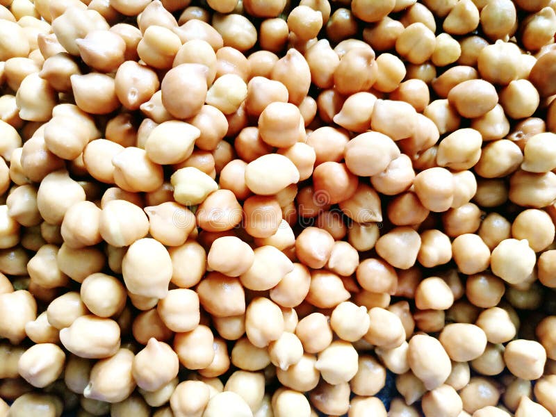 White gram salad stock photo. Image of green, tomatoes 55250814